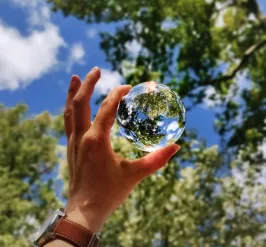 Nature through glass ball