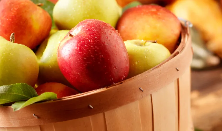 Fall basket of apples