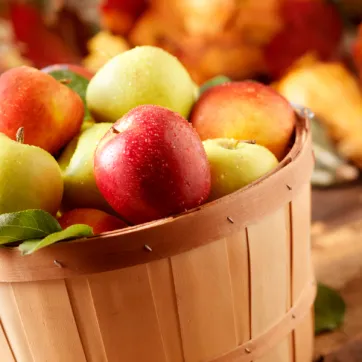 Fall basket of apples