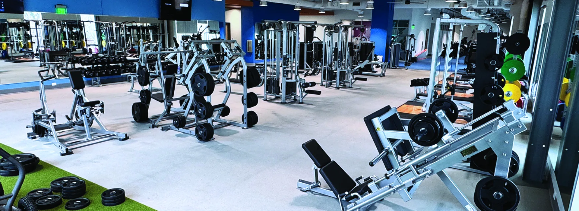 Chatham Park Y Weights Area